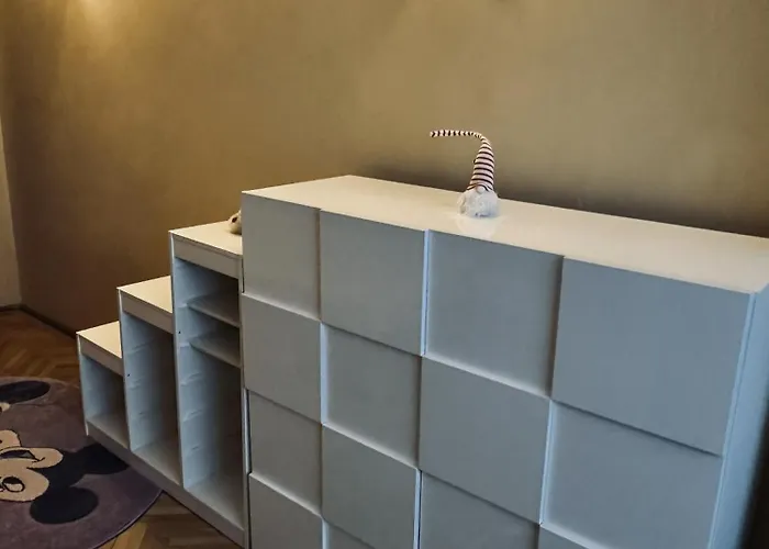 29 Nest * 크라이오바